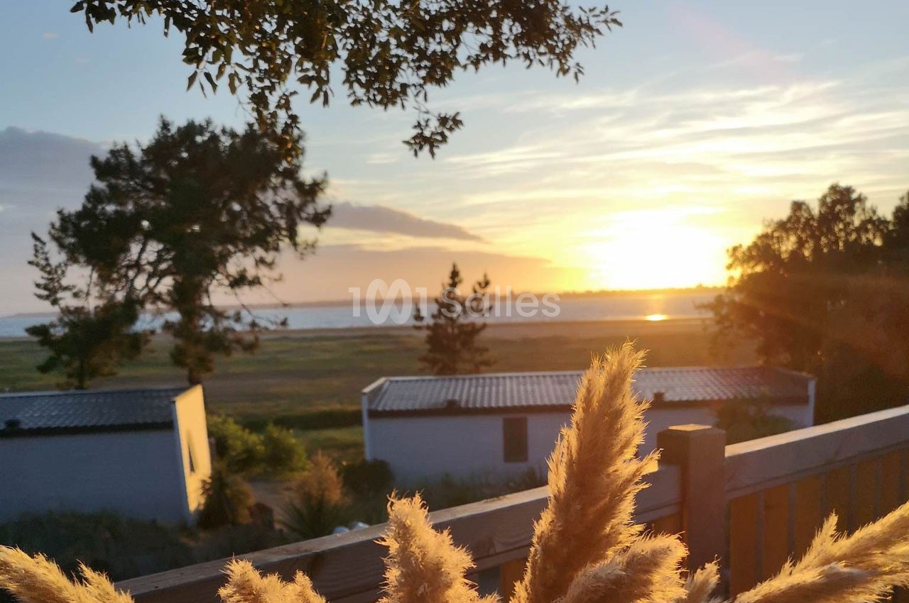 Coucher de soleil sur un paysage côtier avec des arbres, des herbes de la pampa et des bâtiments blancs au premier plan.