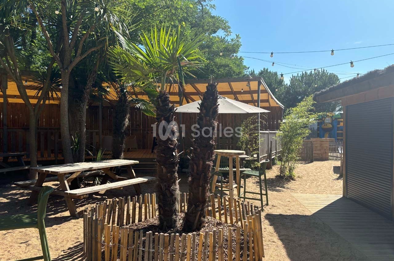 Espace extérieur ensoleillé avec palmiers, tables en bois, parasol et guirlandes lumineuses sous un ciel bleu.