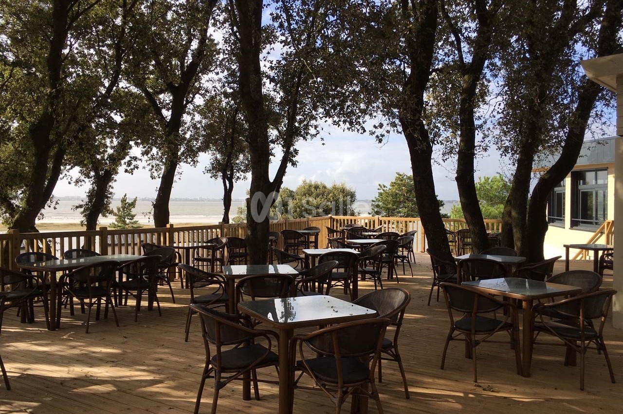 Terrasse en bois avec des tables et chaises en rotin, entourée d'arbres, offrant une vue sur un paysage naturel.