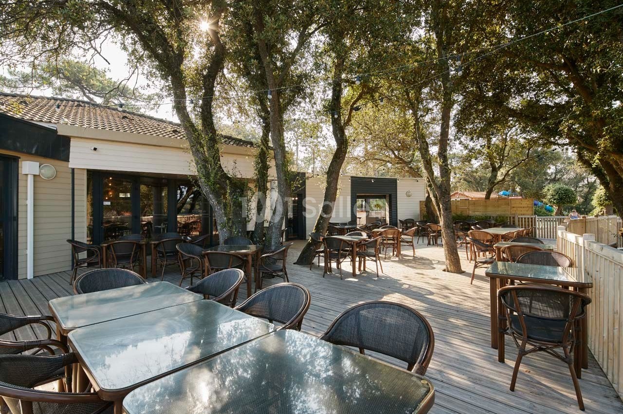 Terrasse en bois avec tables et chaises entourée d'arbres, attenante à un bâtiment clair avec grandes baies vitrées.