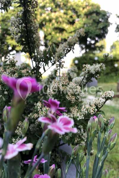 La Lanterne - galerie - photo 15