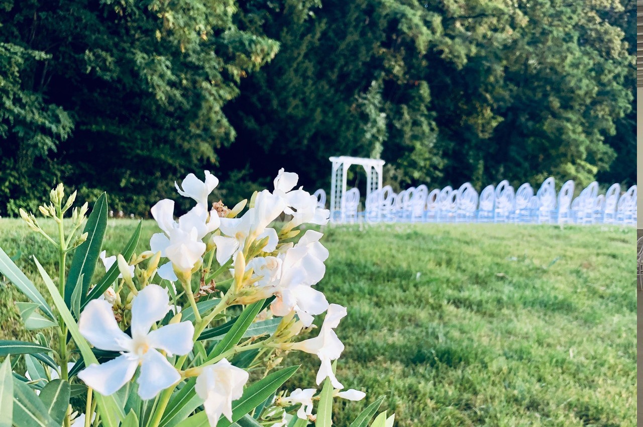 Fleurs blanches au premier plan avec des chaises alignées et une arche blanche en arrière-plan sur une pelouse verdoyante.