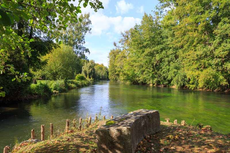 Le Domaine De Saint Vigor - photo 2