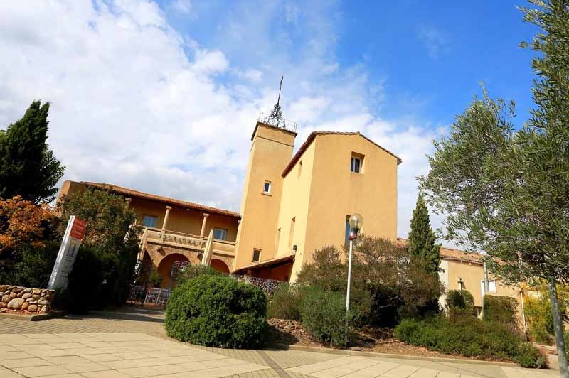 Mas Saporta - Maison des Vins du Languedoc - photo 4