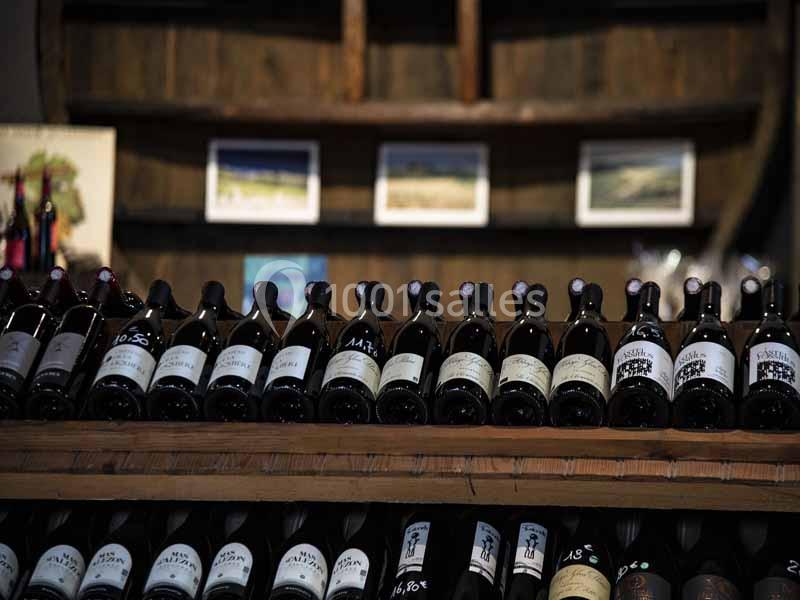 Mas Saporta - Maison des Vins du Languedoc - galerie - photo 9