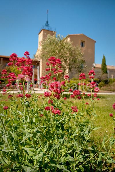 Mas Saporta - Maison des Vins du Languedoc - galerie - photo 6