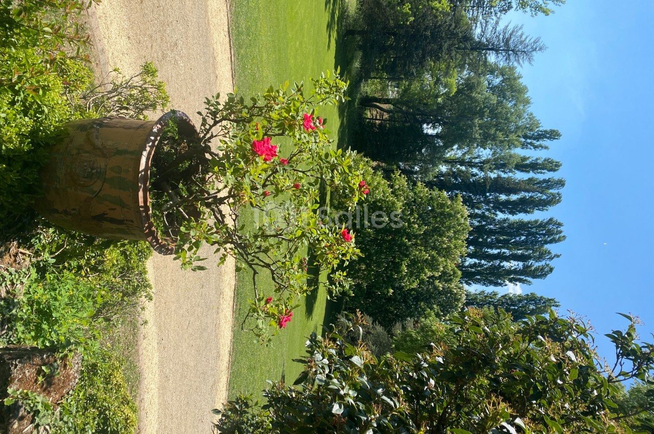 Domaine du Gatelet - galerie - photo 66