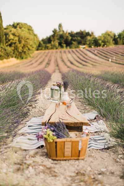 Domaine Terre Ugo - galerie - photo 7