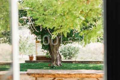 Domaine Terre Ugo - photo 4