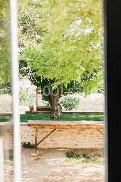 Domaine Terre Ugo - galerie - photo 4