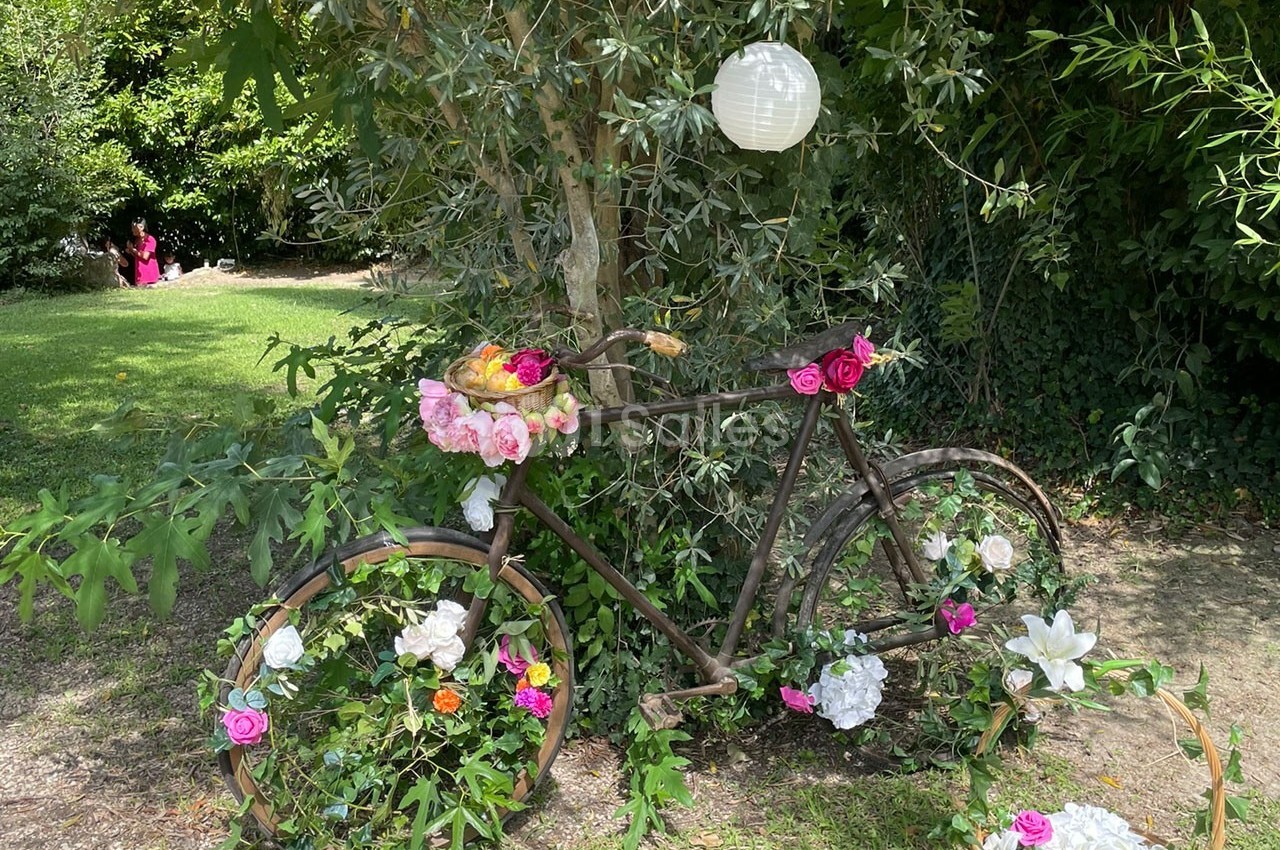 Domaine du Vert Moulin - galerie - photo 19