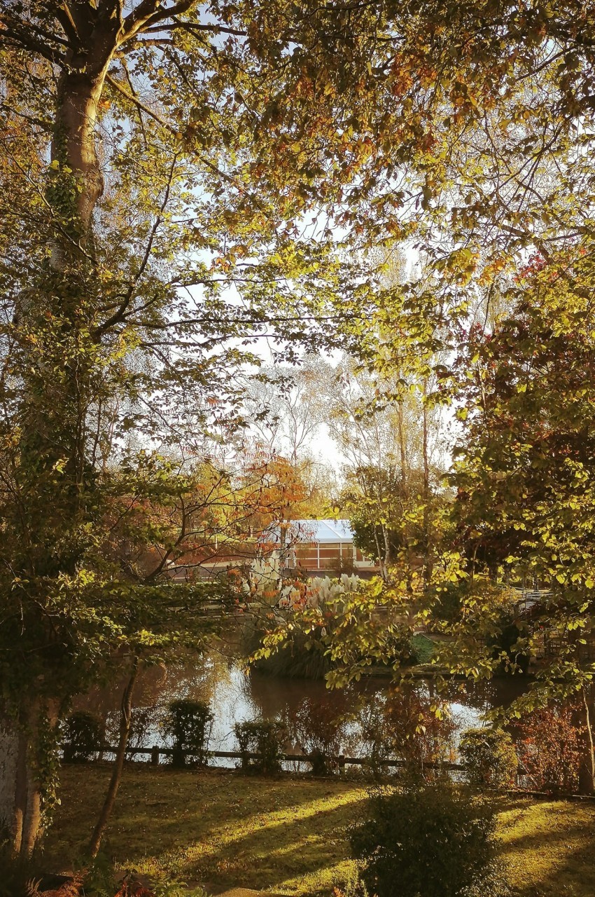 Le Moulin du Perron - galerie - photo 7