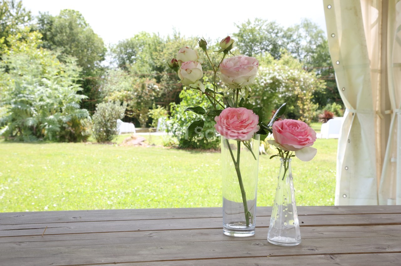 Deux vases en verre contenant des roses roses et blanches posés sur une table en bois, avec un jardin en arrière-plan.