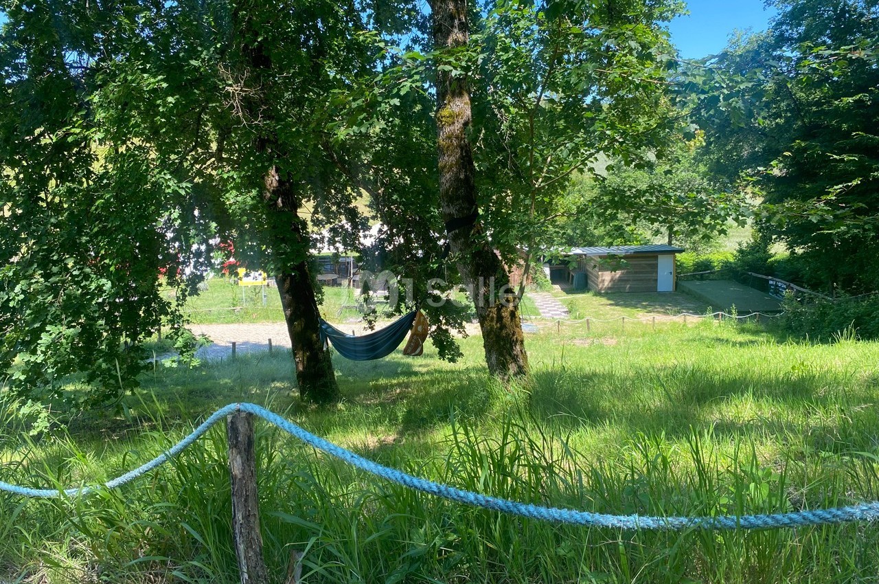 Hamac suspendu entre deux arbres dans un espace verdoyant, avec des bâtiments en arrière-plan.