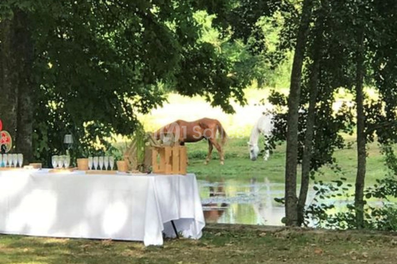 Deux chevaux broutent près d'un étang, à côté d'une table dressée en extérieur sous des arbres.