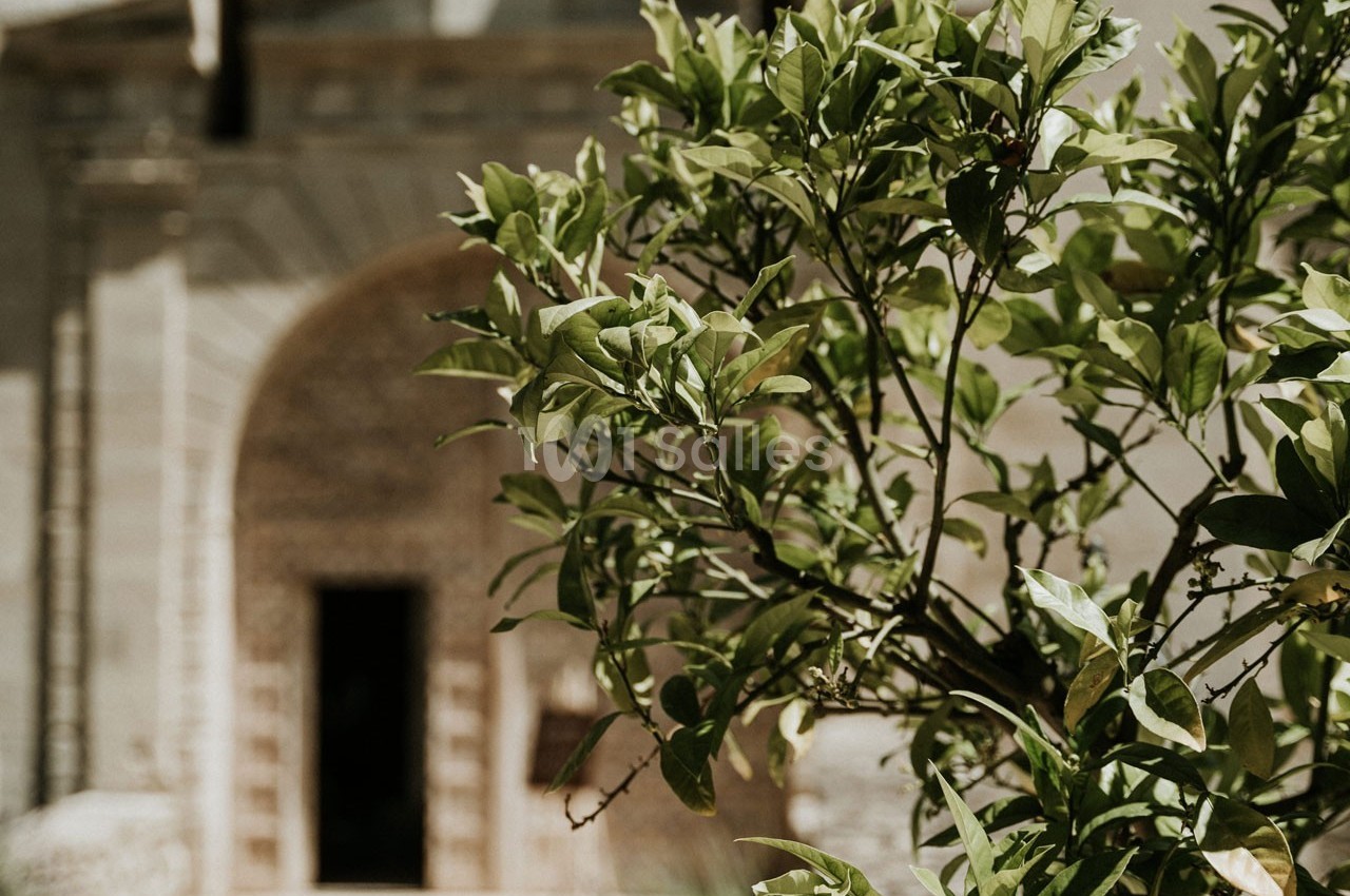Château de la Citardière - galerie - photo 16
