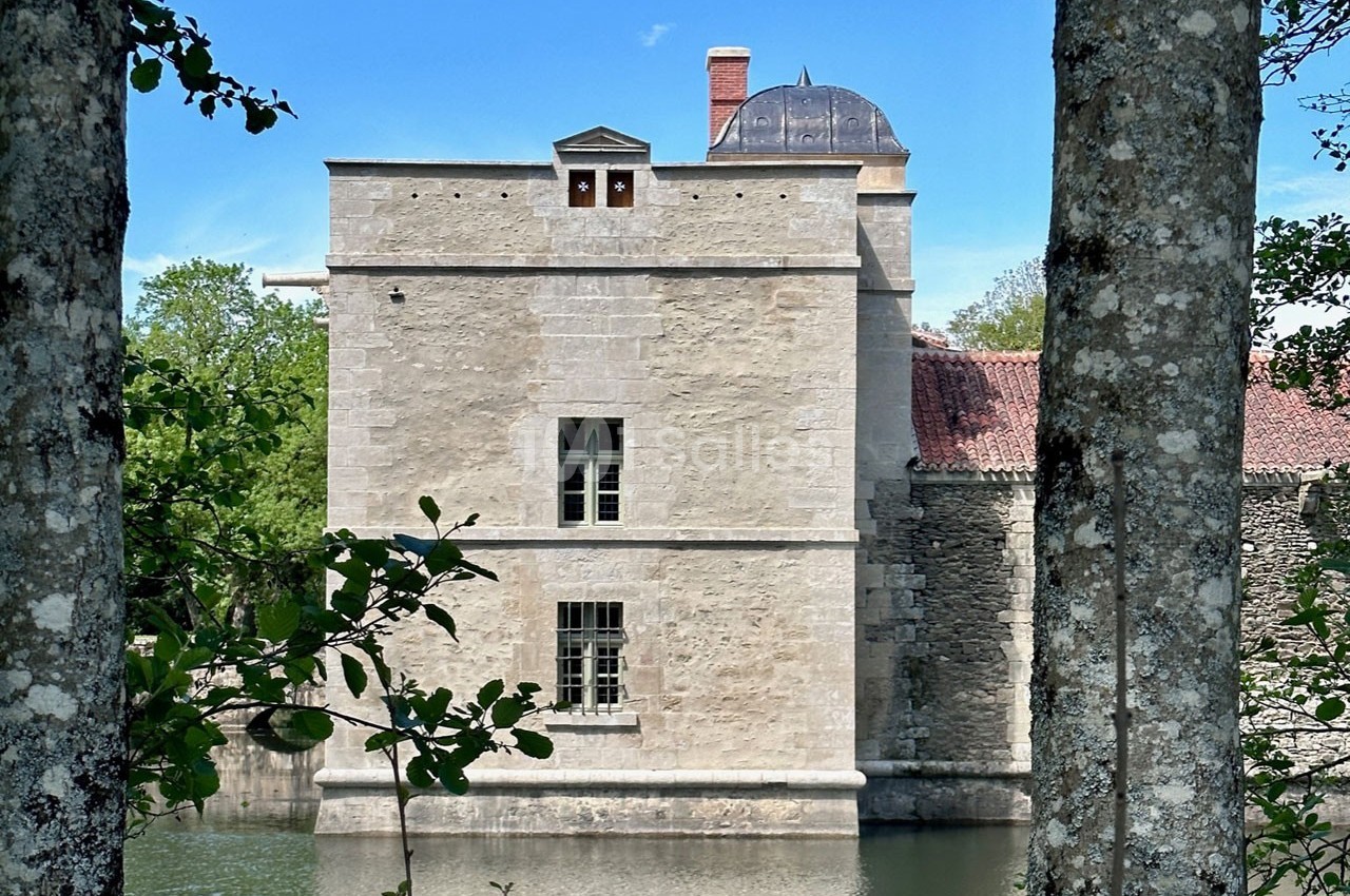 Château de la Citardière - galerie - photo 43