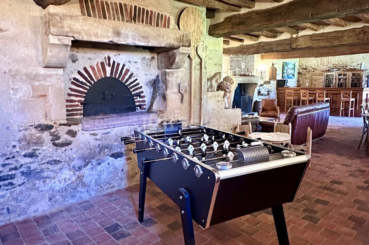 Château de la Citardière - galerie - photo 39
