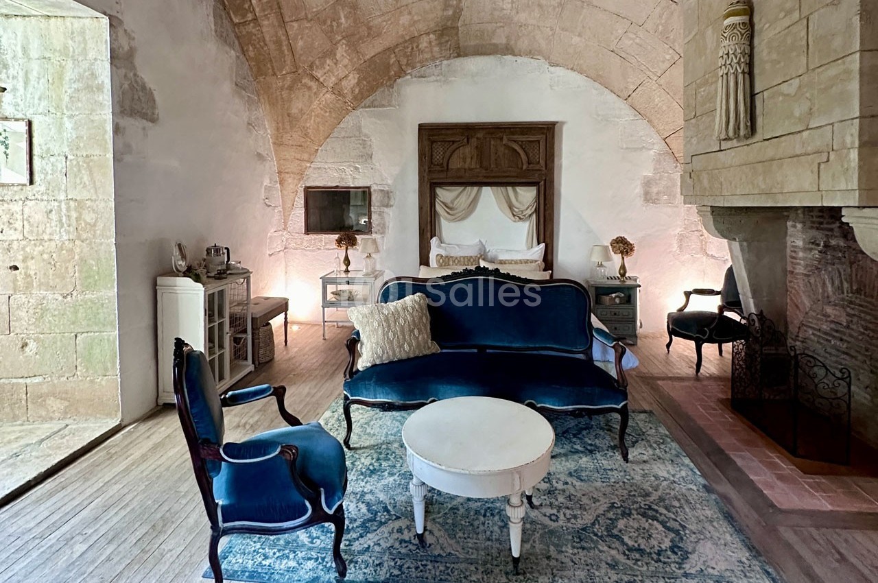 Château de la Citardière - galerie - photo 50