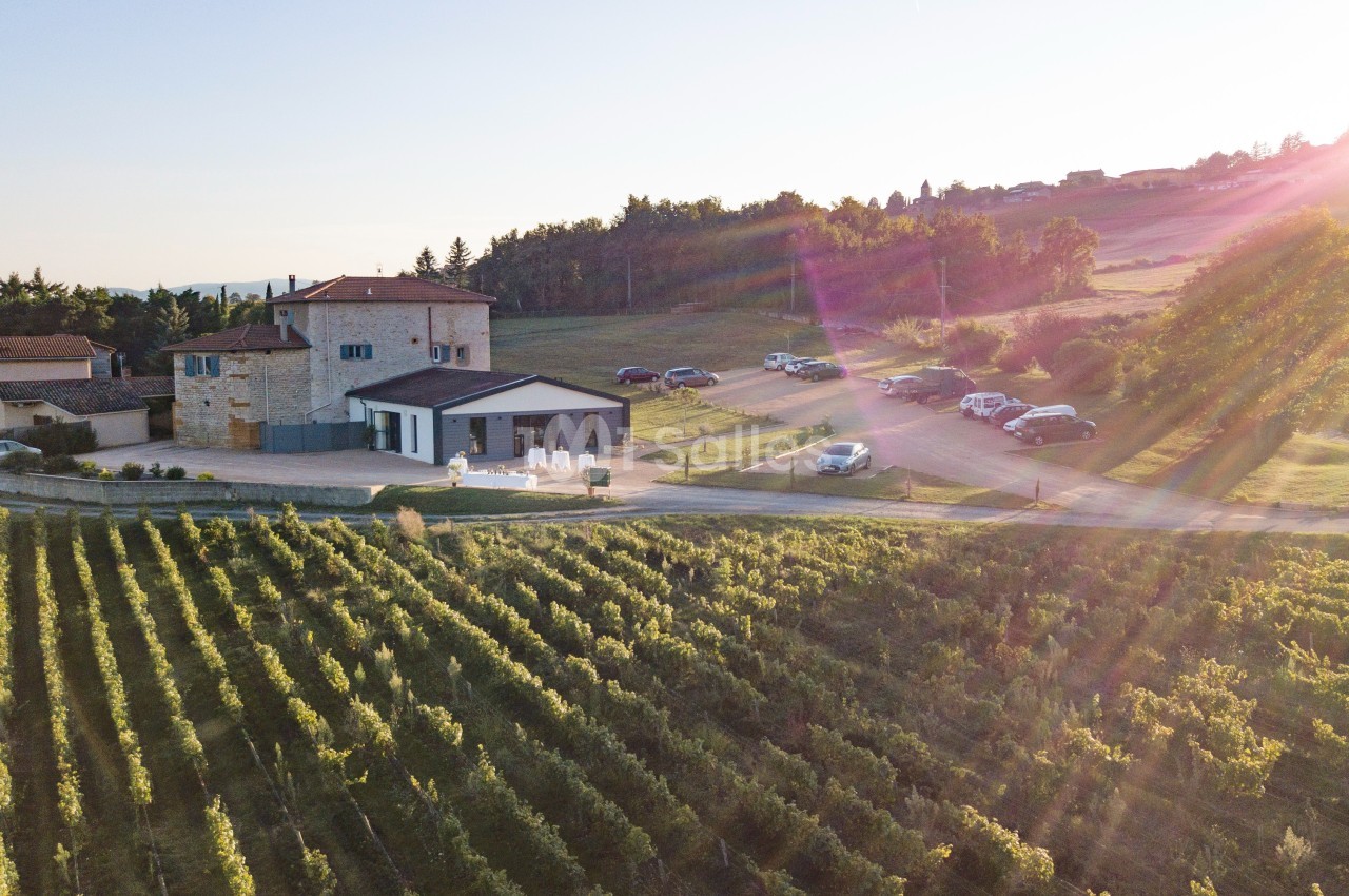 Vue aérienne d'un domaine rural avec des bâtiments, des vignes et des voitures stationnées sous une lumière de fin de…