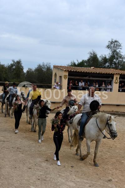 Manade Mailhan Mas des Bernacles - galerie - photo 8