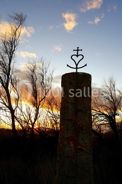 Manade Mailhan Mas des Bernacles - galerie - photo 4