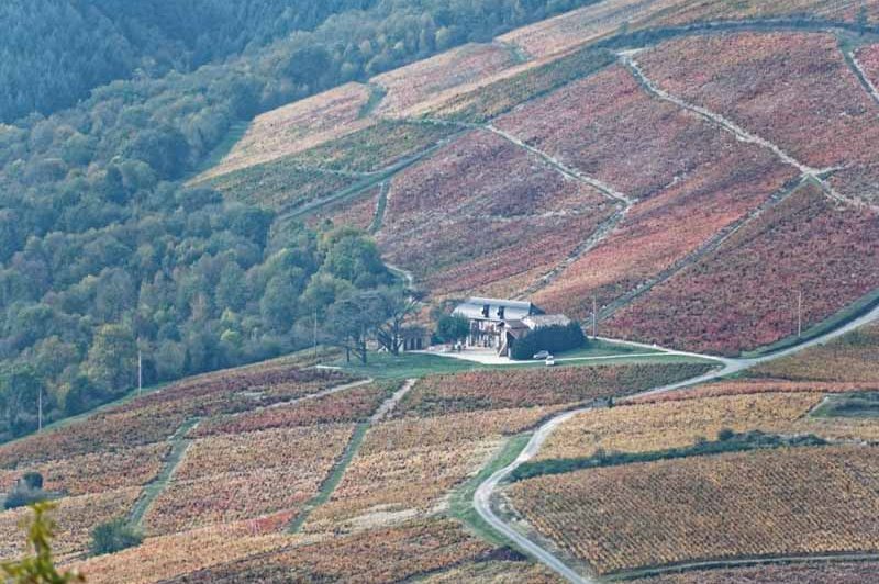 L'ermitage de Brouilly - photo 3