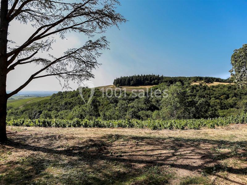 L'ermitage de Brouilly - galerie - photo 8