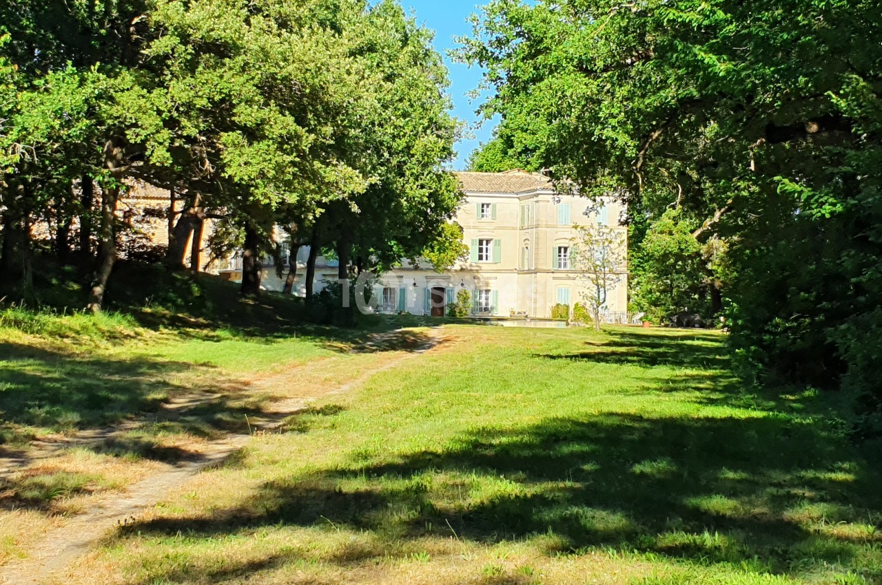 Allée ombragée menant à un grand bâtiment en pierre entouré d'arbres et d'une pelouse verdoyante.