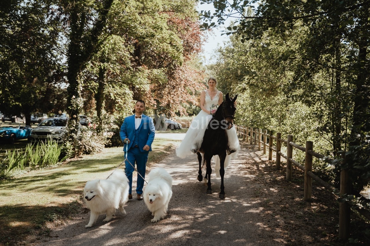 Un homme en costume bleu marche avec deux chiens blancs tandis qu'une femme en robe blanche monte un cheval noir.