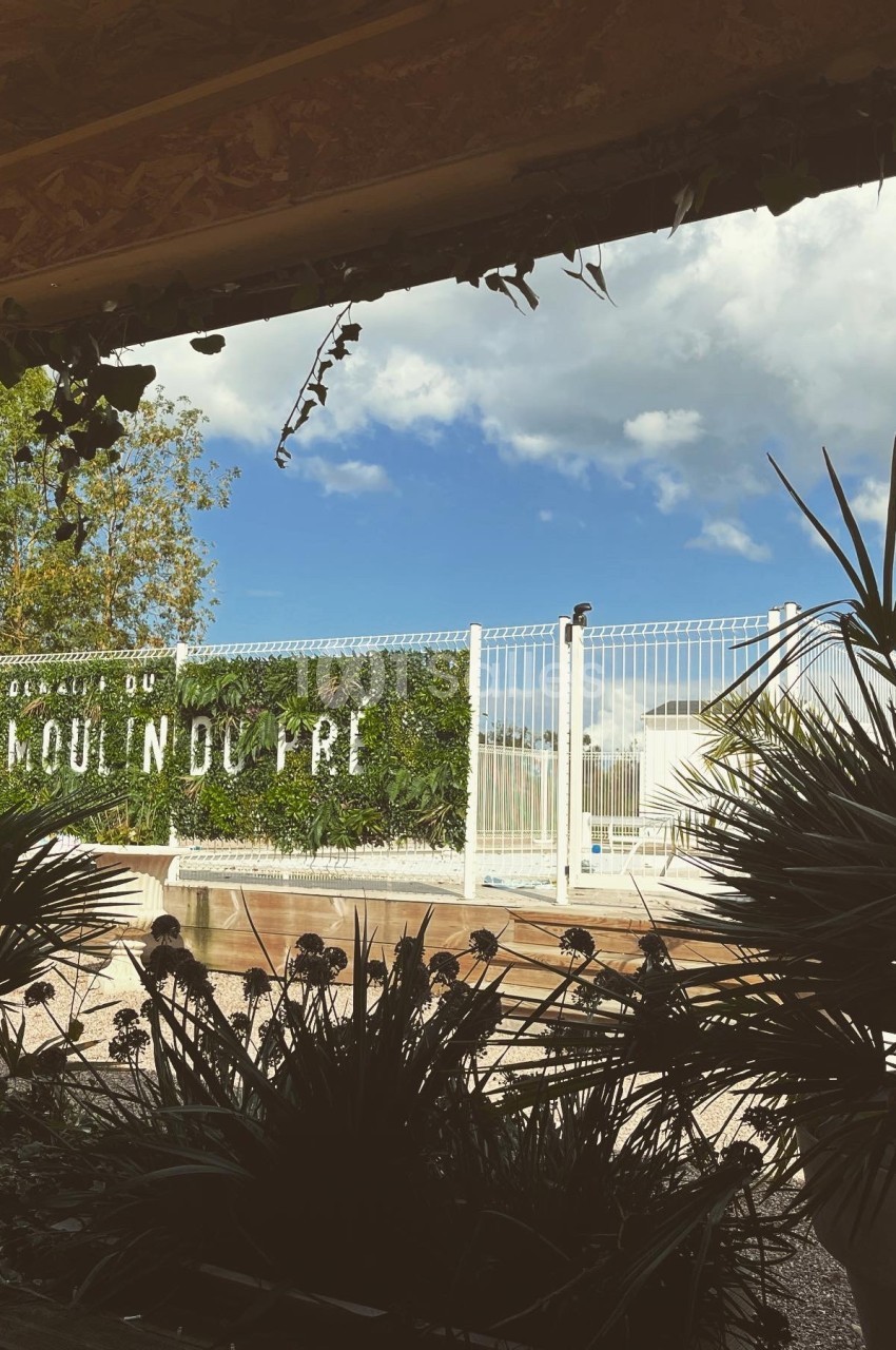 Vue d'un jardin ombragé avec des plantes en premier plan et une clôture blanche devant un ciel partiellement nuageux.