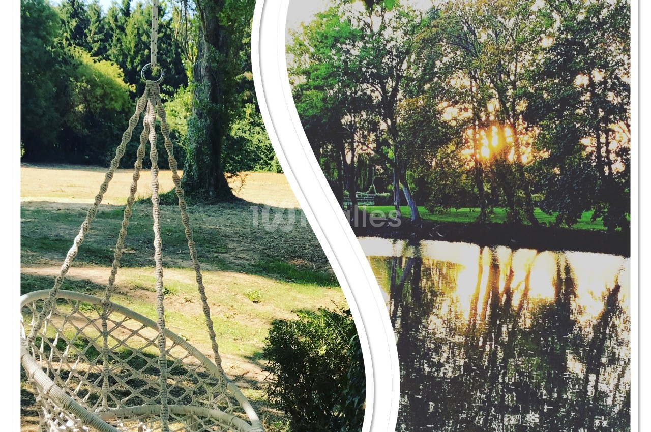 Chaise suspendue en corde dans un jardin et coucher de soleil reflété sur un étang entouré d'arbres.