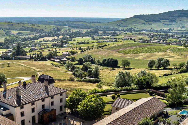 Château Du Souzy - photo 3