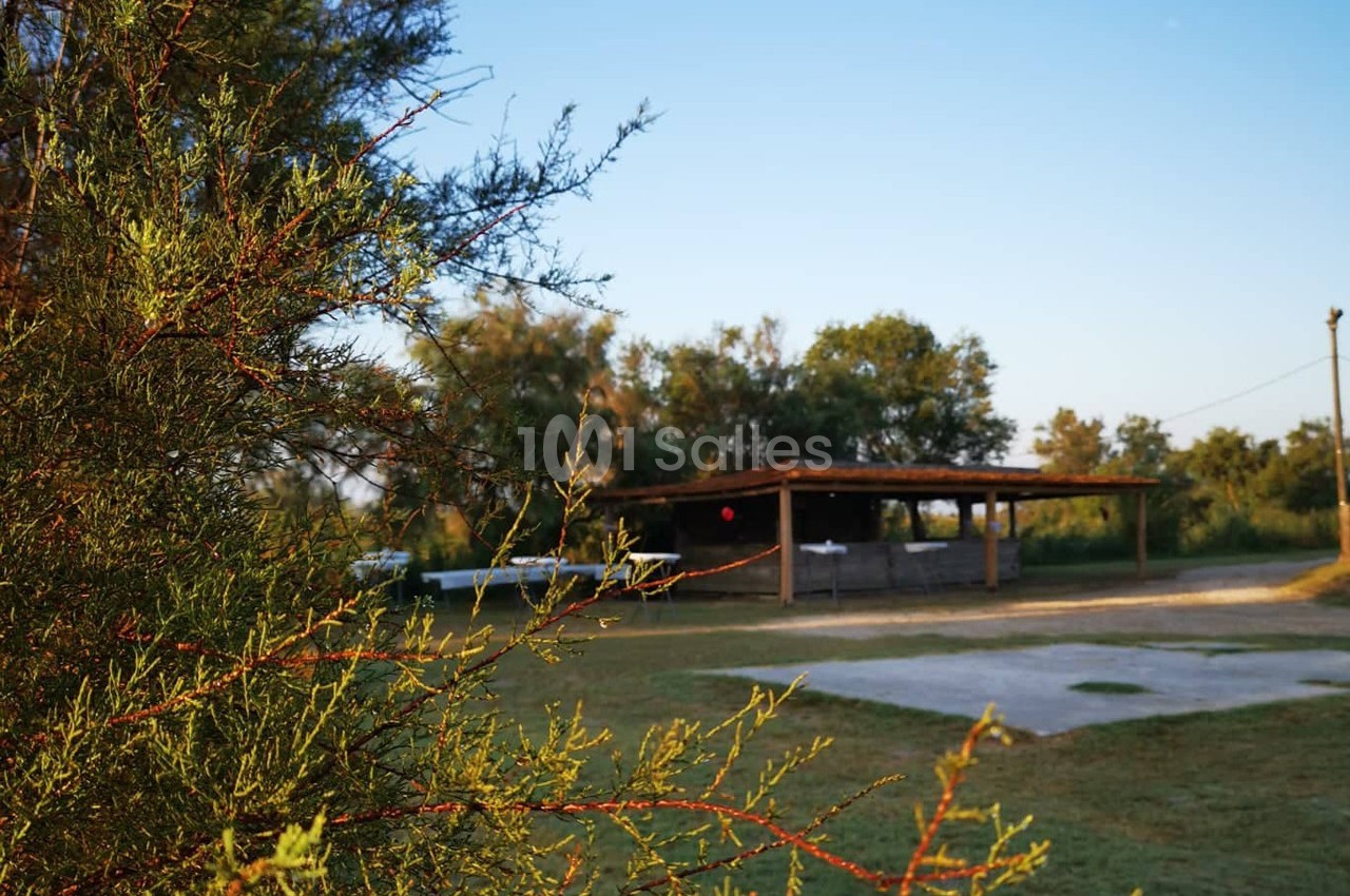 Abri en bois dans un espace naturel avec des arbres, vu au coucher du soleil, et un buisson au premier plan.
