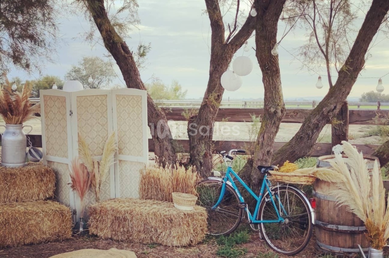 Décor champêtre avec bottes de paille, vélo bleu, plantes séchées, tonneaux en bois et arbres en arrière-plan.