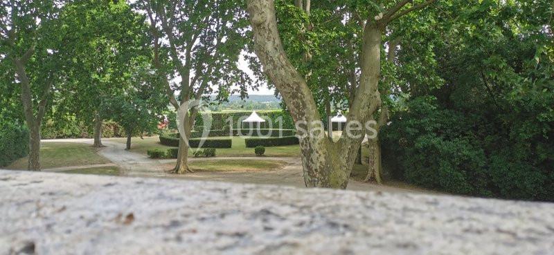 Château des Lumières - galerie - photo 6