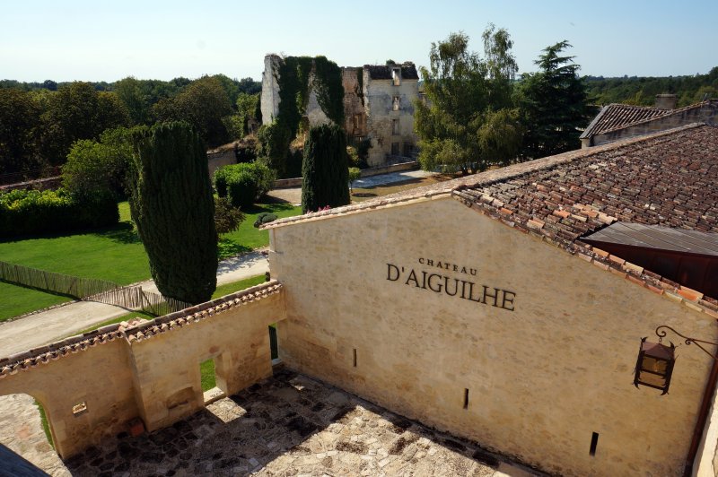 Château d'Aiguilhe - photo 5