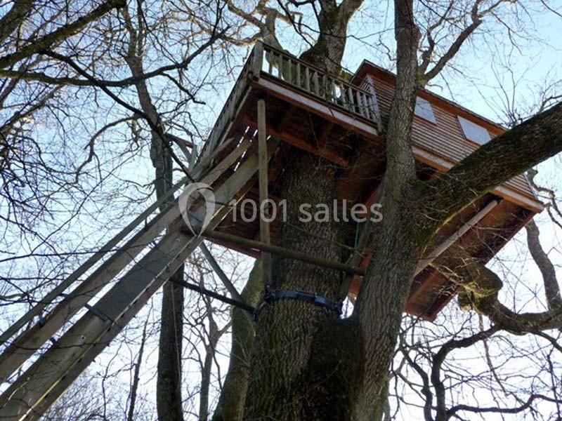 Château Du Montremy - galerie - photo 7