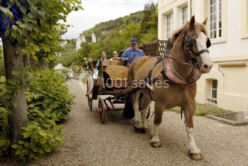 Les 3 Falaises - galerie - photo 18