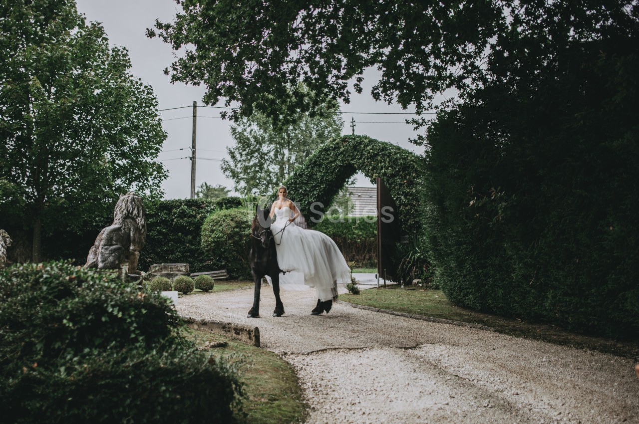 Une mariée en robe blanche monte un cheval noir sur une allée bordée de verdure, sous un ciel nuageux.