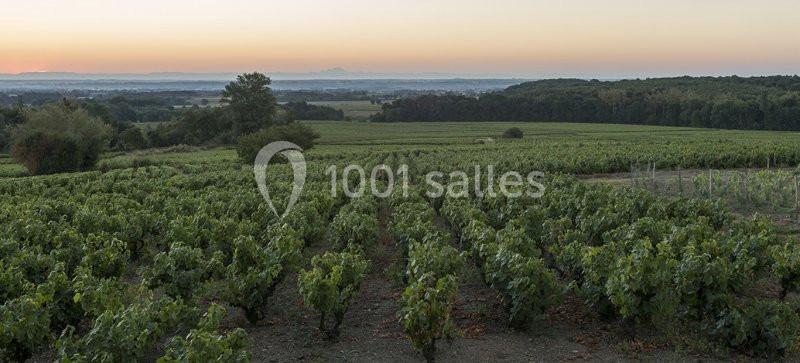 Domaine Morgon La Javernière - galerie - photo 23