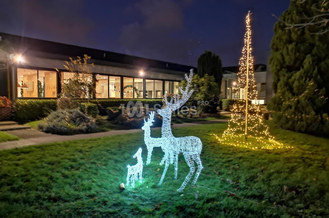 Décorations lumineuses représentant des rennes et un arbre illuminé dans un jardin en soirée.