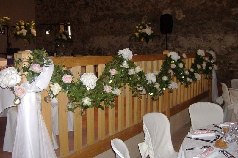 Château du Fraisse - photo 3