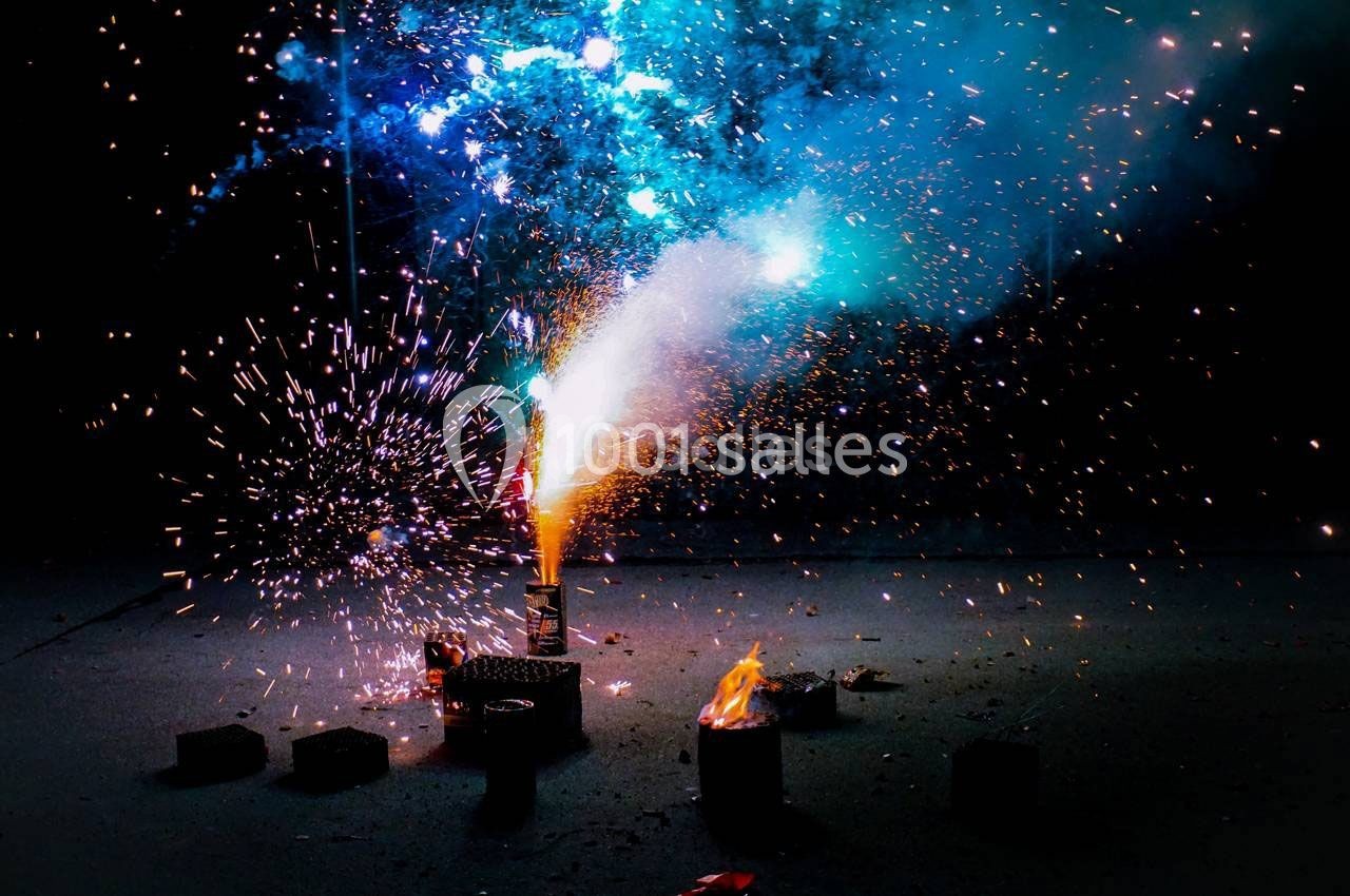 Visa Pour L'image - galerie - photo 1