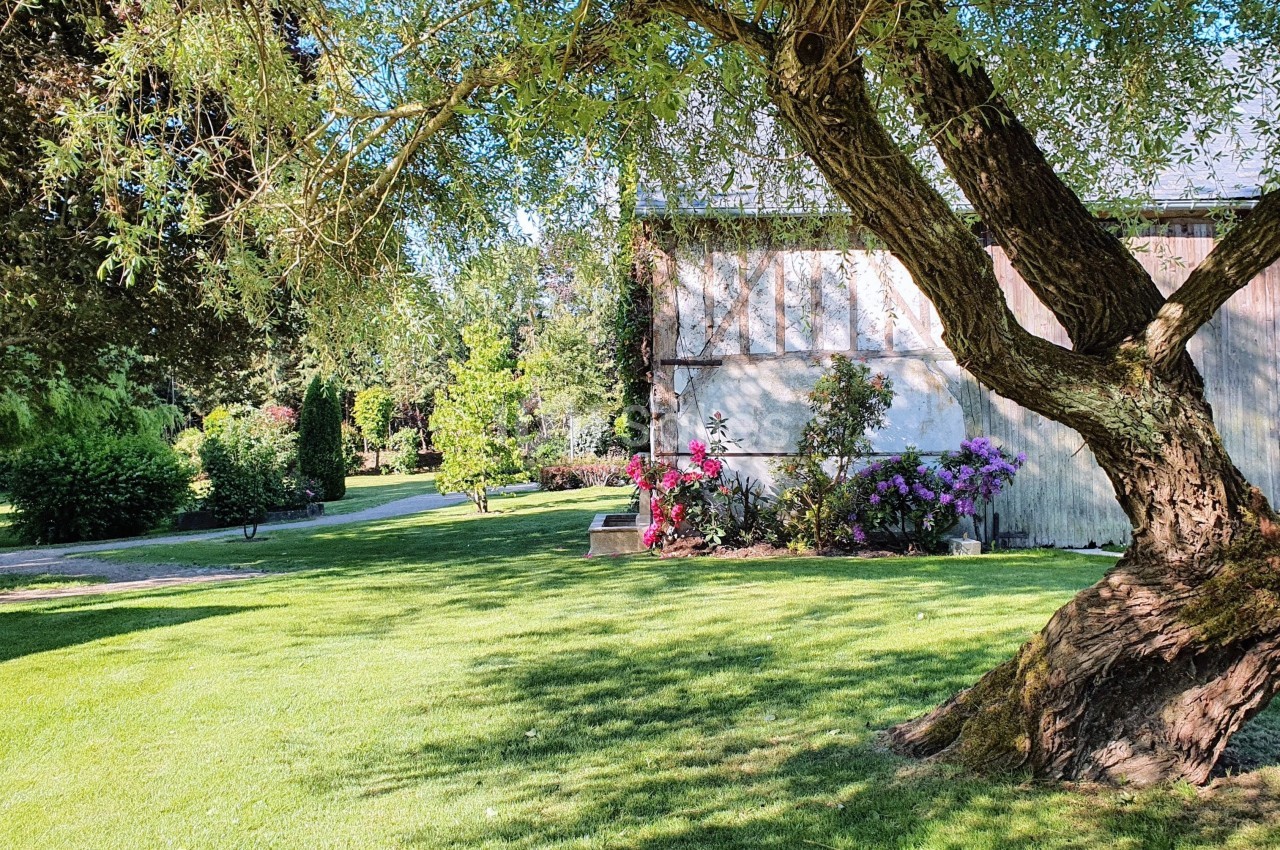Arbre penché sur une pelouse verdoyante avec des buissons fleuris et un bâtiment en arrière-plan.