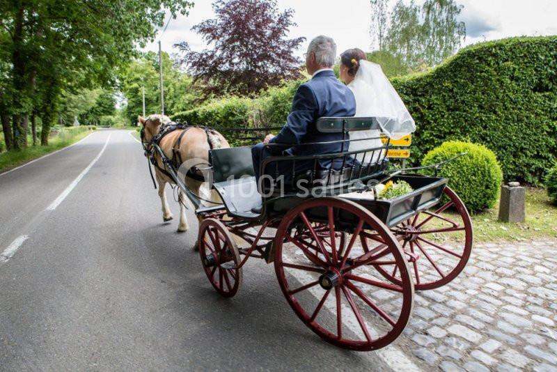 Un couple en tenue de mariage est assis dans une calèche tirée par un cheval sur une route bordée de verdure.