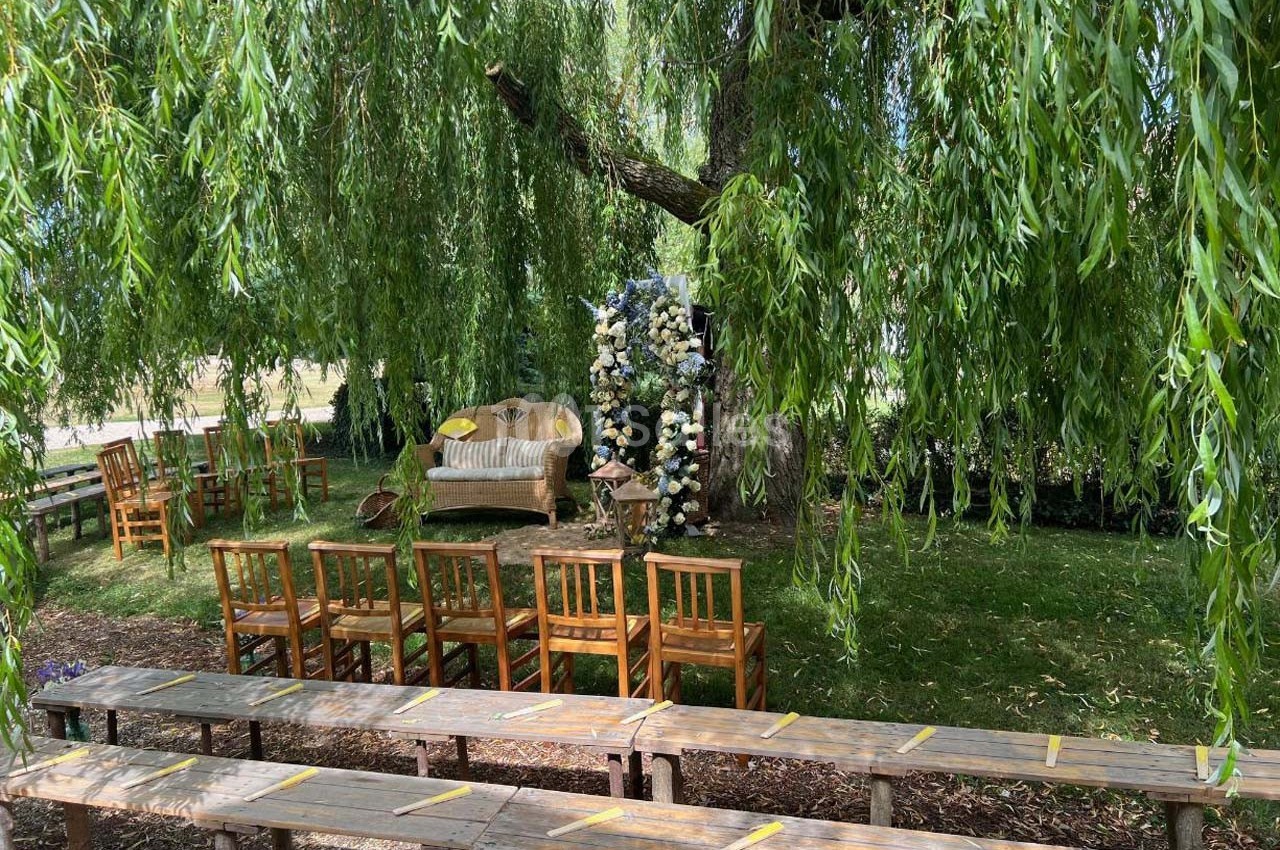 Chaises en bois disposées sous des arbres avec un banc décoré de fleurs pour une cérémonie en plein air.