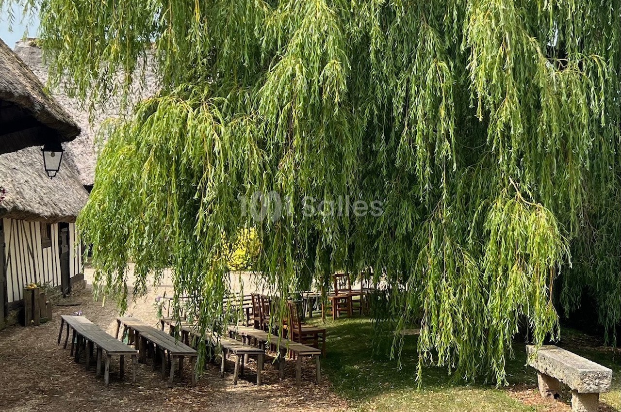 Un grand saule pleureur ombrage des tables en bois disposées dans une cour pavée près de bâtiments à toit de chaume.