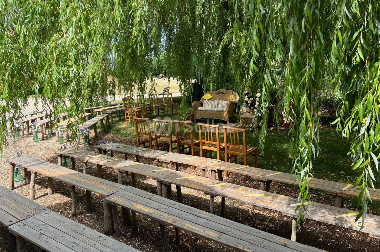 Bancs en bois disposés en extérieur sous un grand saule pleureur, avec quelques chaises et une table décorée.