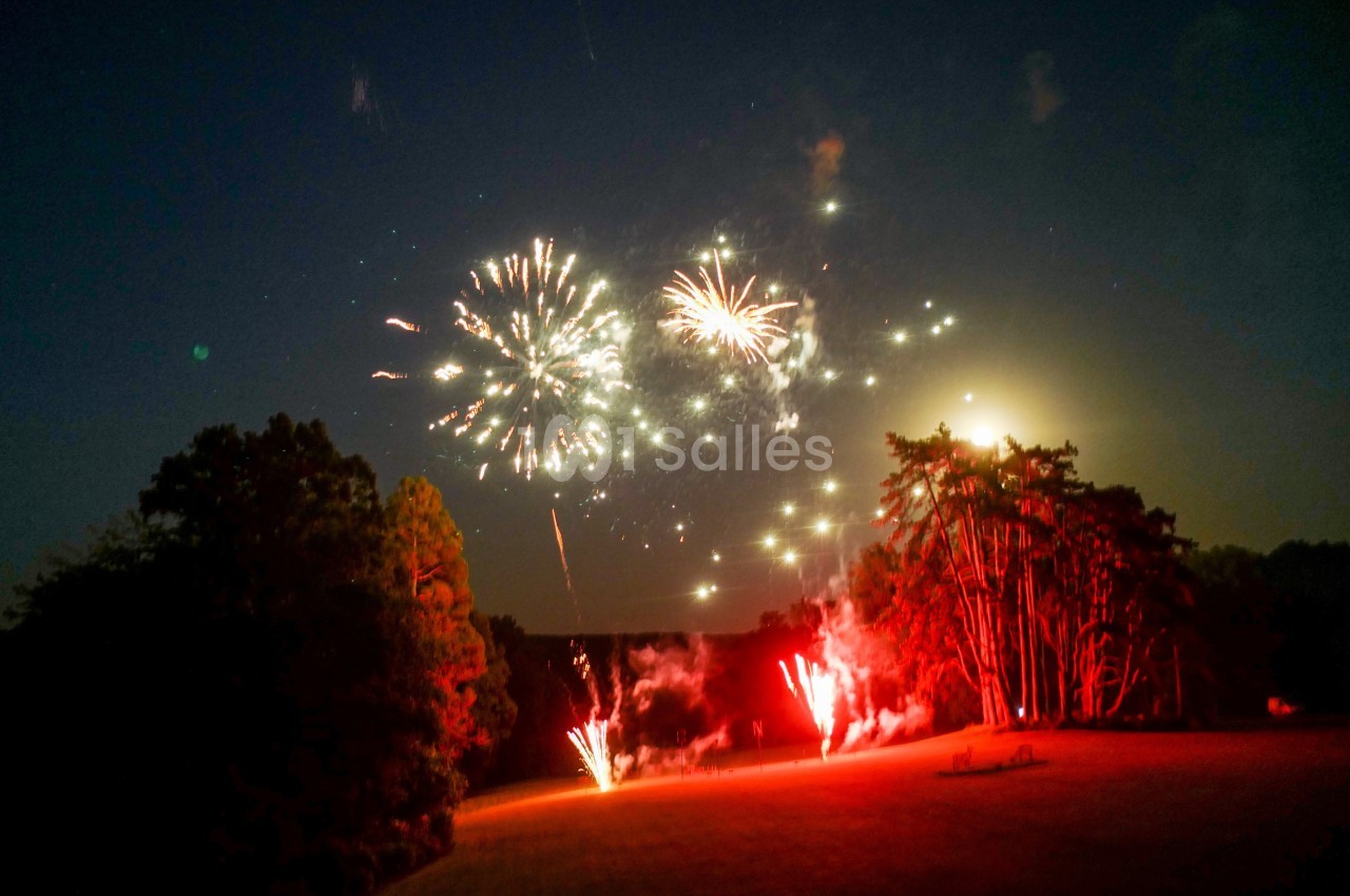 Feu d'artifice illuminant un ciel nocturne au-dessus d'une clairière entourée d'arbres.